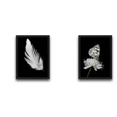 Lot de 2 tableaux Duo L30xH40 Motif Plume et Papillon Noir et Blanc