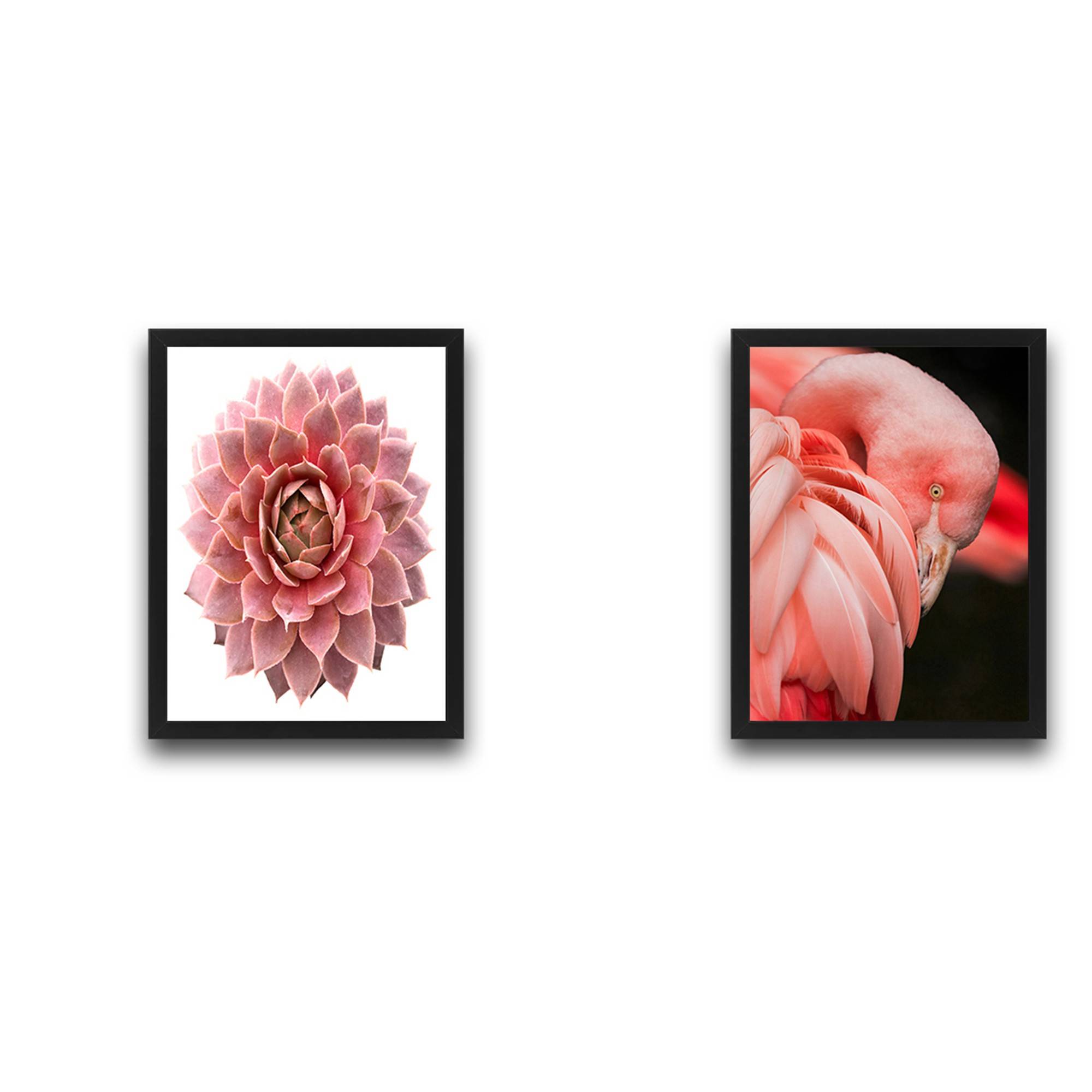 Lot de 2 tableaux encadrés en Noir L30xH40cm Motif Flamant rose succulente