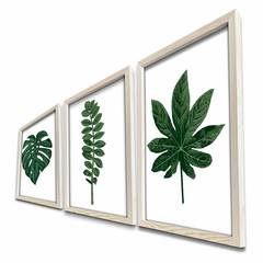 Pictura Set mit 3 tropischen Blättern