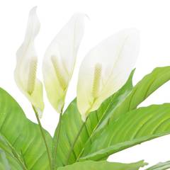 Plante artificielle Anthurium 55cm Blanc