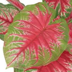 Plante artificielle Caladium 70cm Vert et Rouge