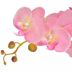 Plante artificielle Orchidée 75cm Rose