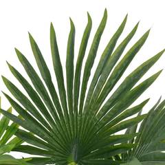 Plante artificielle Palmier 70cm Vert