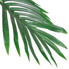 Plante artificielle Palmier Cycus 80cm Vert